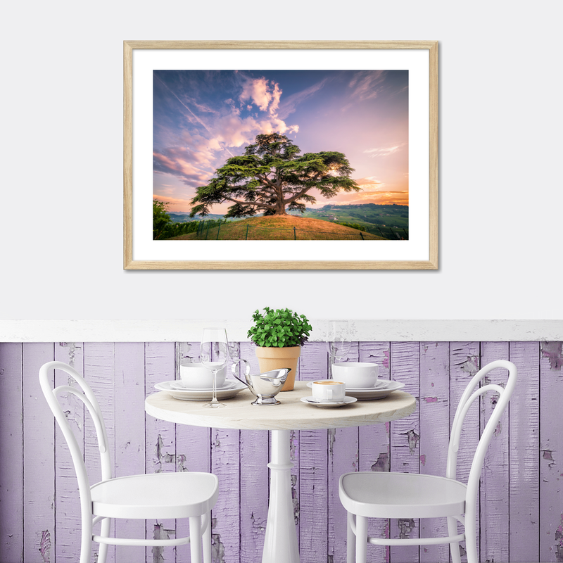 Majestic Cedar Of Lebanon Wall Art