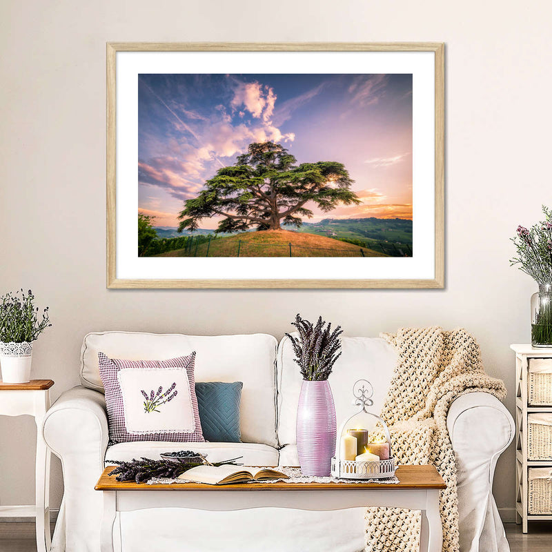 Majestic Cedar Of Lebanon Wall Art