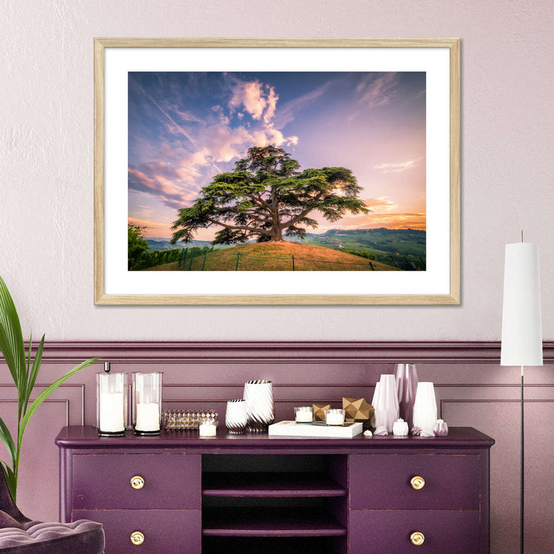 Majestic Cedar Of Lebanon Wall Art