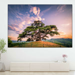 Majestic Cedar Of Lebanon Wall Art