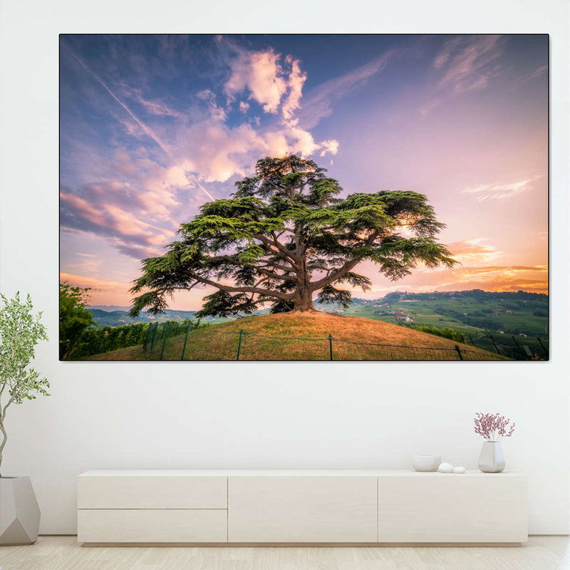 Majestic Cedar Of Lebanon Wall Art