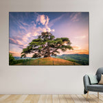 Majestic Cedar Of Lebanon Wall Art