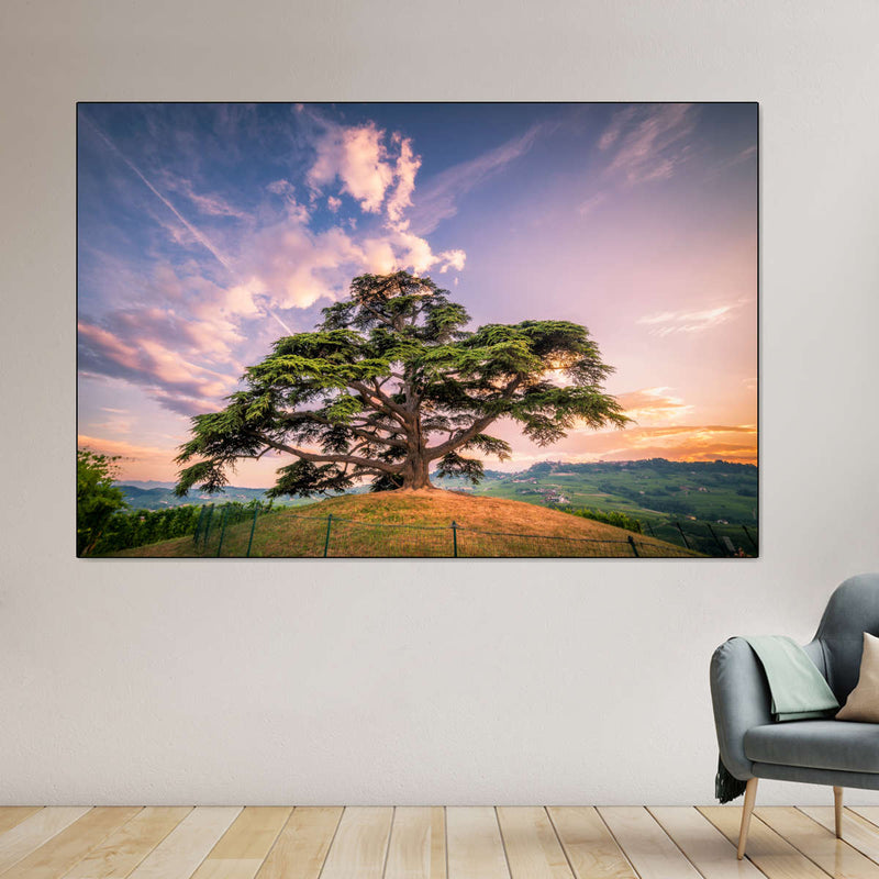 Majestic Cedar Of Lebanon Wall Art