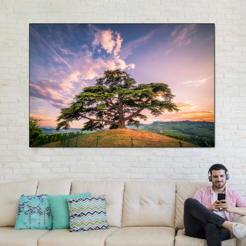 Majestic Cedar Of Lebanon Wall Art
