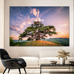 Majestic Cedar Of Lebanon Wall Art
