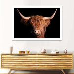 Scottish Highland Cow Wall Art