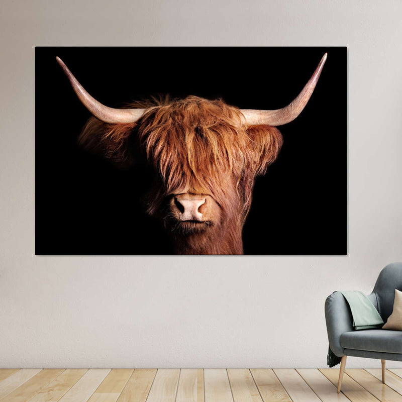 Scottish Highland Cow Wall Art