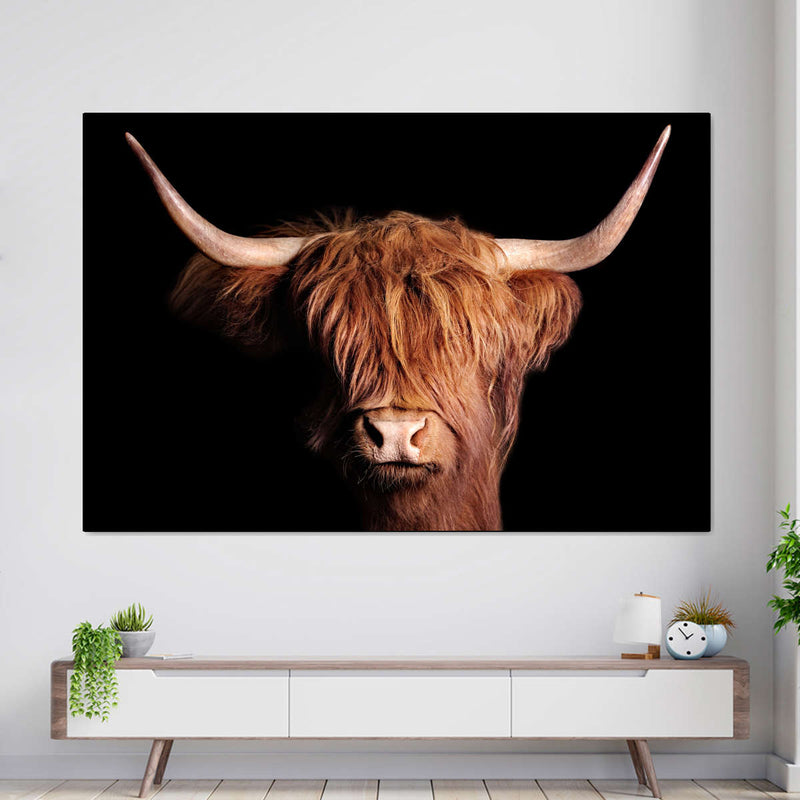 Scottish Highland Cow Wall Art