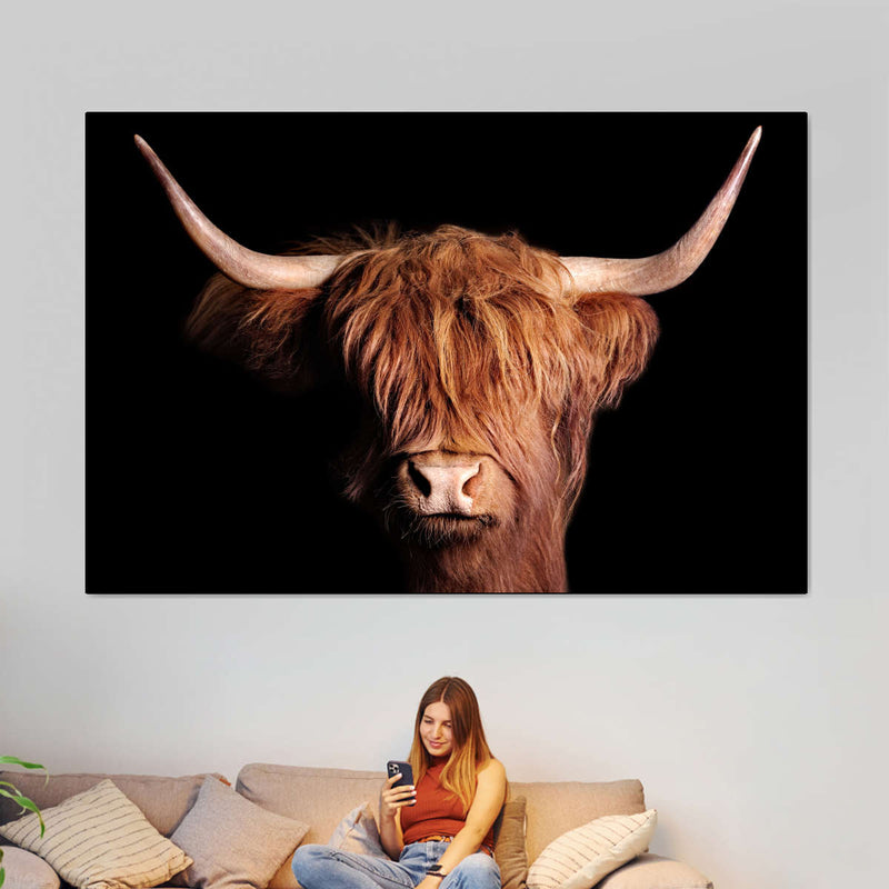 Scottish Highland Cow Wall Art