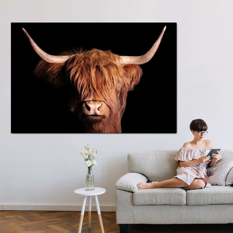 Scottish Highland Cow Wall Art