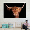 Scottish Highland Cow Wall Art