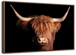 Scottish Highland Cow Wall Art