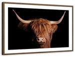 Scottish Highland Cow Wall Art