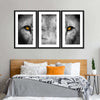 Lion Eyes Pop Wall Art