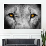 Lion Eyes Pop Wall Art
