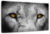 Lion Eyes Pop Wall Art