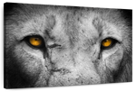 Lion Eyes Pop Wall Art