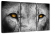 Lion Eyes Pop Wall Art