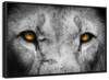 Lion Eyes Pop Wall Art