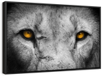 Lion Eyes Pop Wall Art