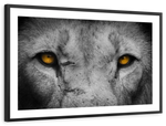 Lion Eyes Pop Wall Art