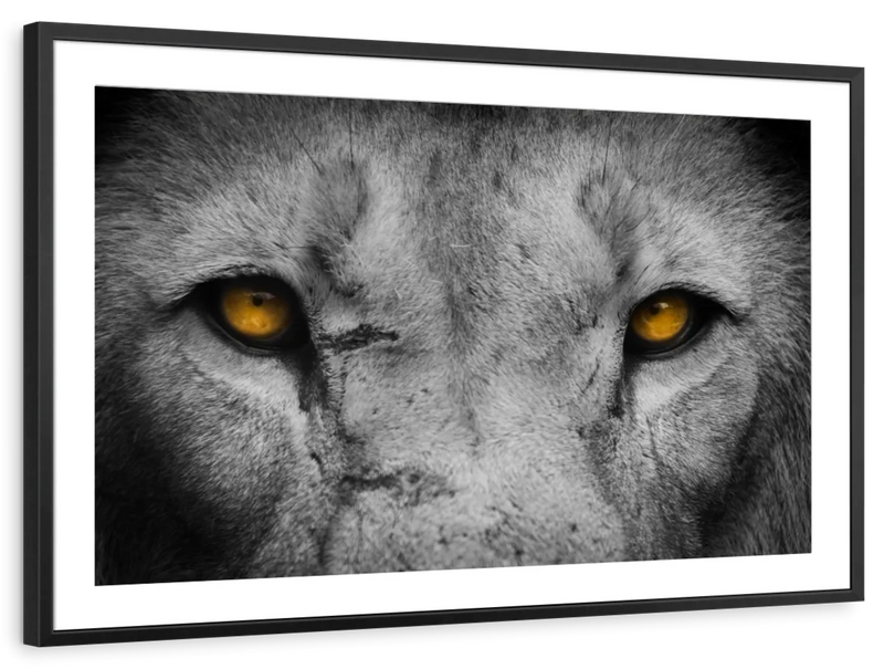 Lion Eyes Pop Wall Art