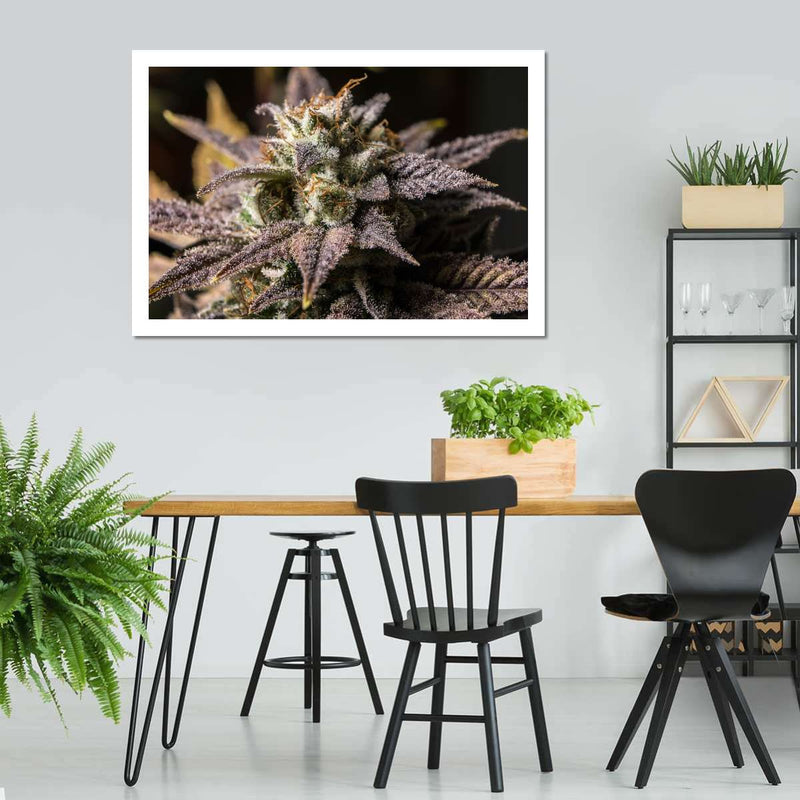 Marijuana In Winter Wall Art