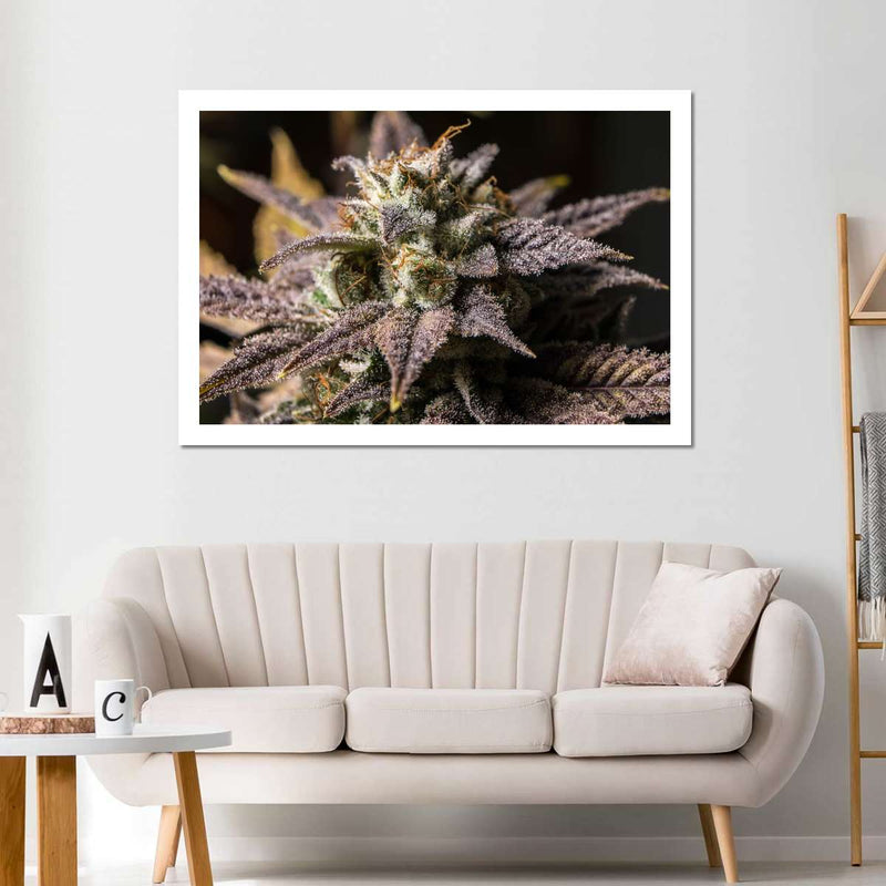 Marijuana In Winter Wall Art