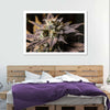 Marijuana In Winter Wall Art