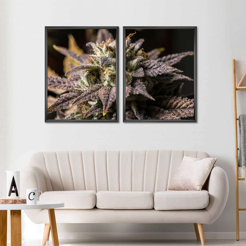 Marijuana In Winter Wall Art
