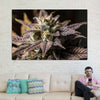 Marijuana In Winter Wall Art