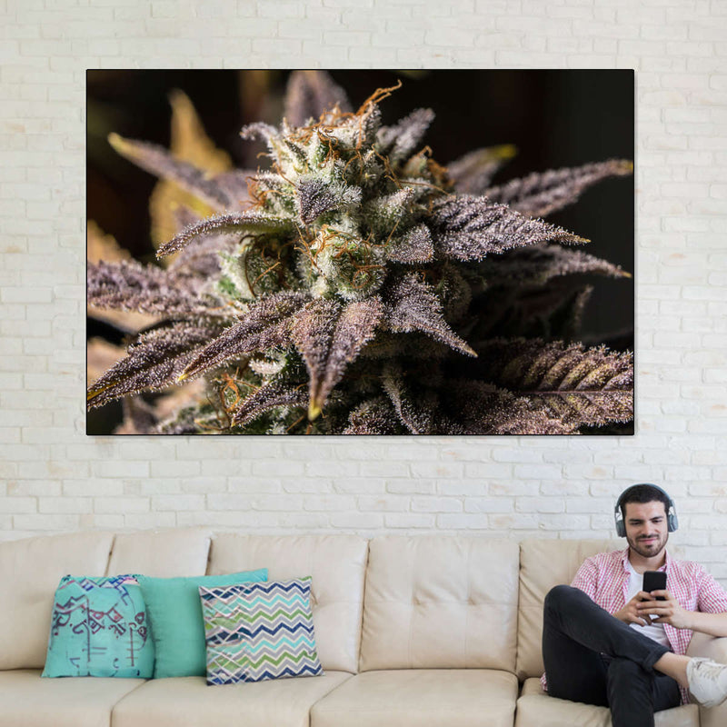 Marijuana In Winter Wall Art