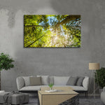 Tree Top Wall Art