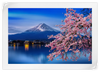 Sakura In Spring Wall Art
