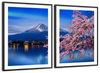 Sakura In Spring Wall Art