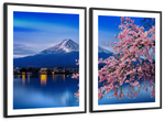 Sakura In Spring Wall Art