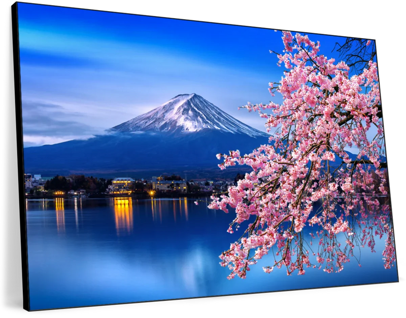 Sakura In Spring Wall Art
