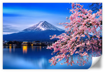 Sakura In Spring Wall Art