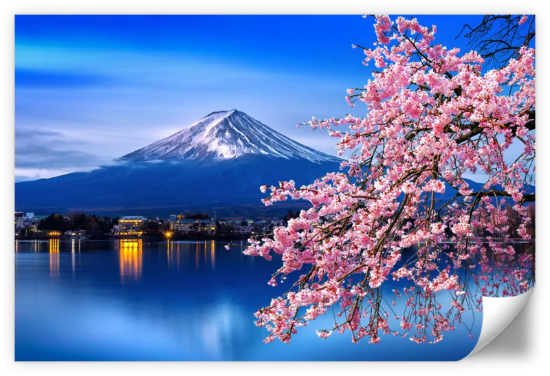 Sakura In Spring Wall Art
