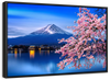 Sakura In Spring Wall Art
