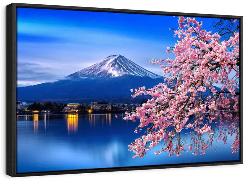 Sakura In Spring Wall Art