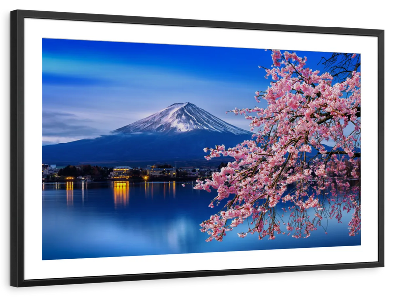 Sakura In Spring Wall Art