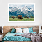 Grazing Teton Bison Wall Art