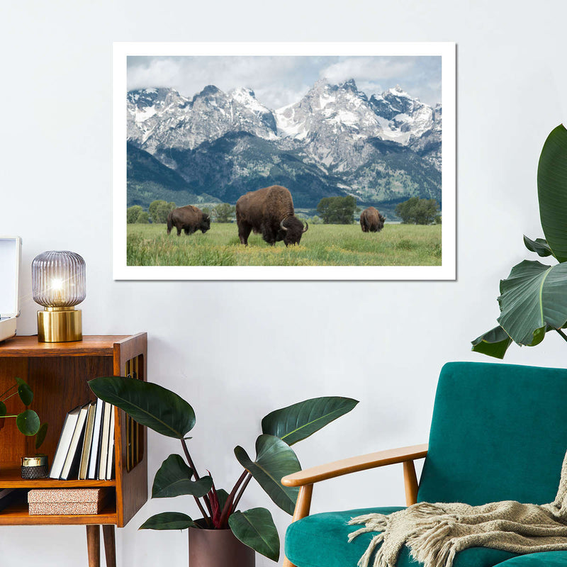Grazing Teton Bison Wall Art