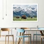 Grazing Teton Bison Wall Art
