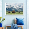 Grazing Teton Bison Wall Art