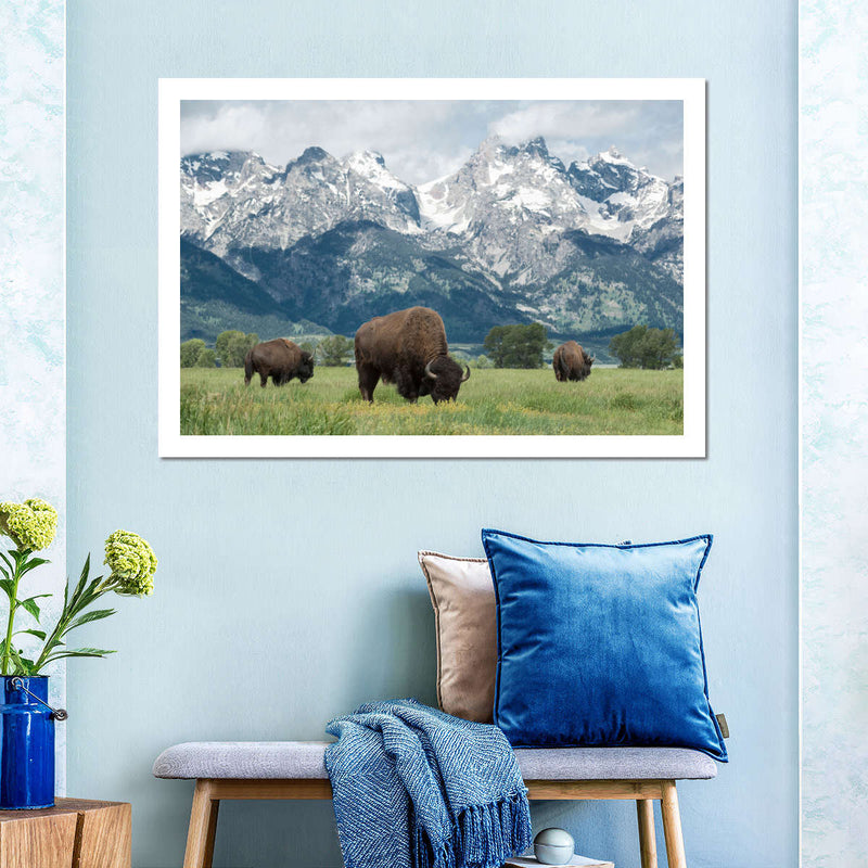 Grazing Teton Bison Wall Art