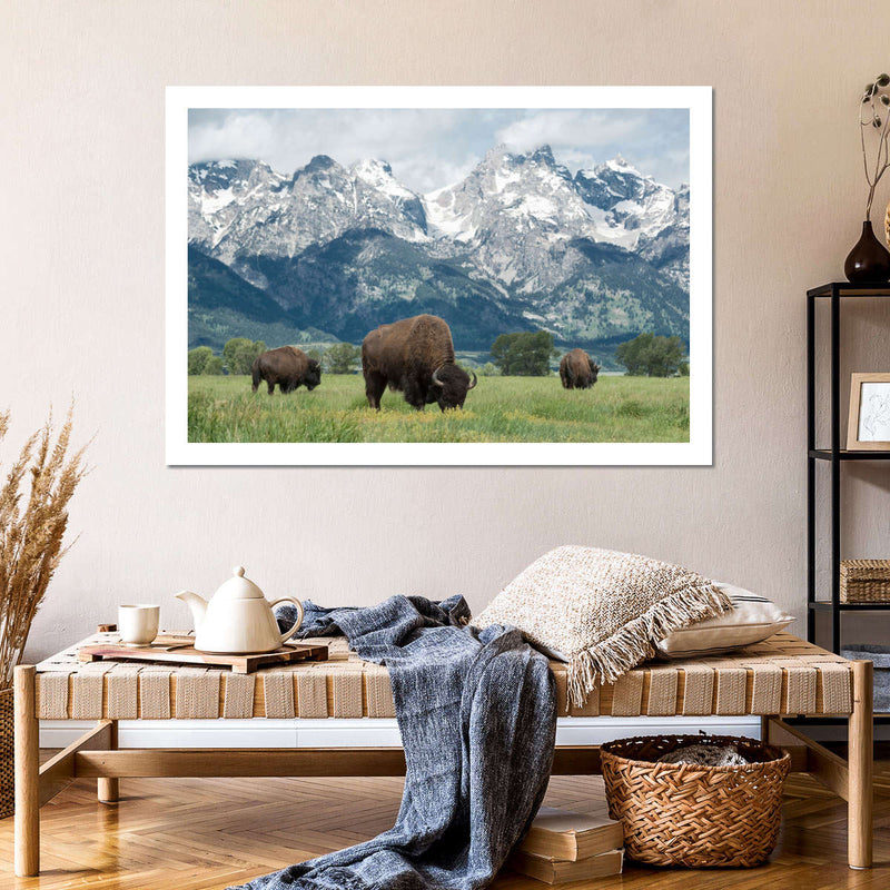 Grazing Teton Bison Wall Art