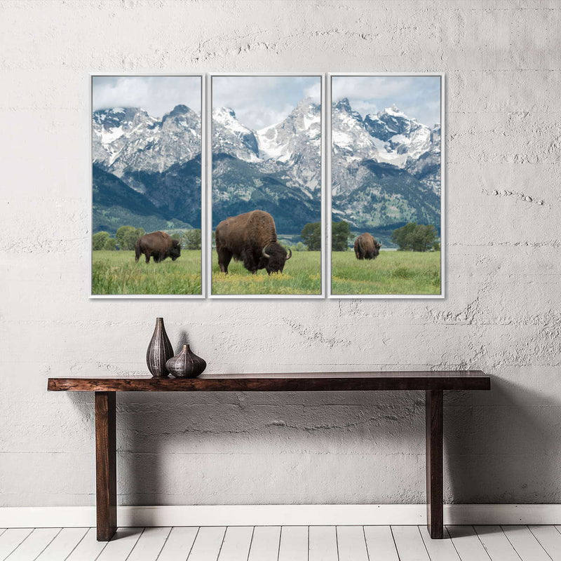 Grazing Teton Bison Wall Art