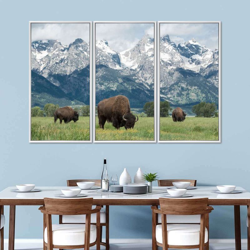 Grazing Teton Bison Wall Art